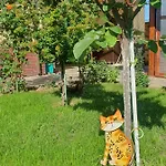 Casa Roua Vendégház 3*