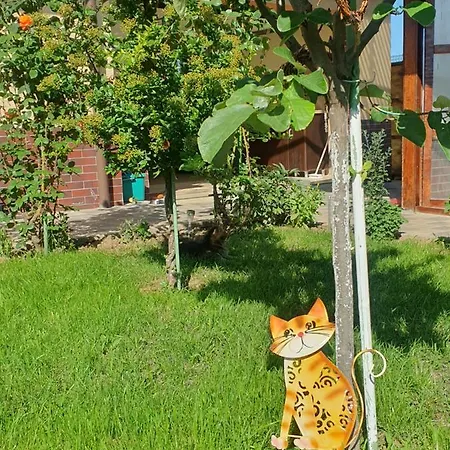 Casa Roua Konukevi 3*