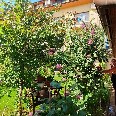 Casa Roua 3* Venus