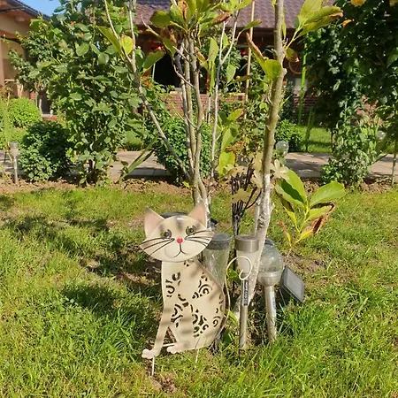 Casa Roua *