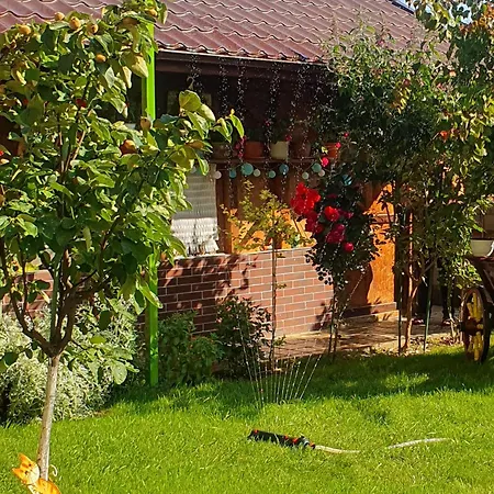 Casa Roua
