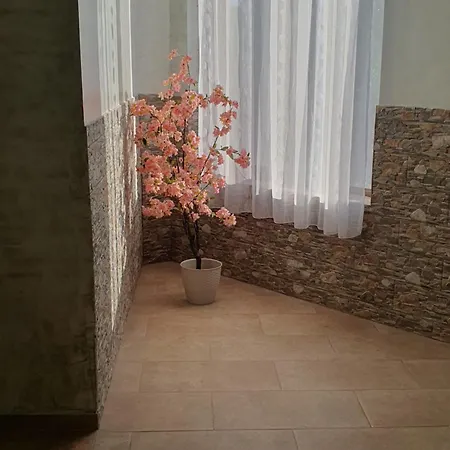 Casa Roua Pensiune *