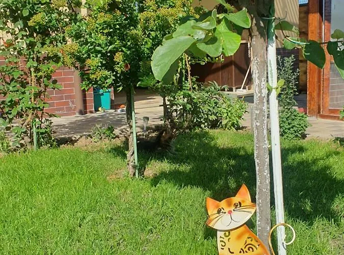 Casa Roua Konukevi 3*