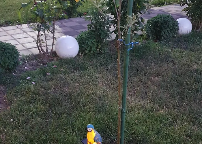 Konukevi Casa Roua Venus